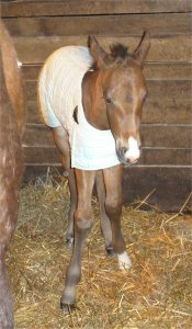 New Born